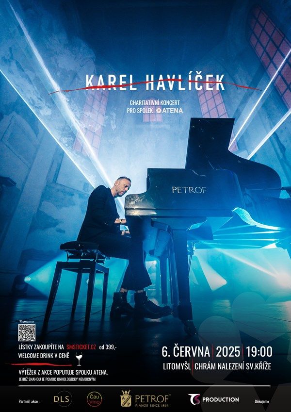 Karel Havlíček - Charitativní koncert