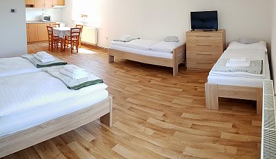 Veselka Apartment