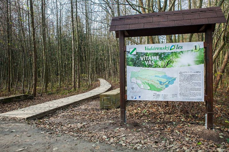 Educational trail through the Waterworks Forest in Svitavy