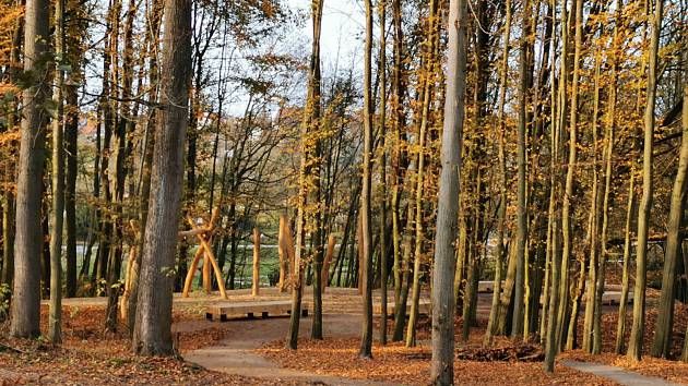 Forest park Černá hora