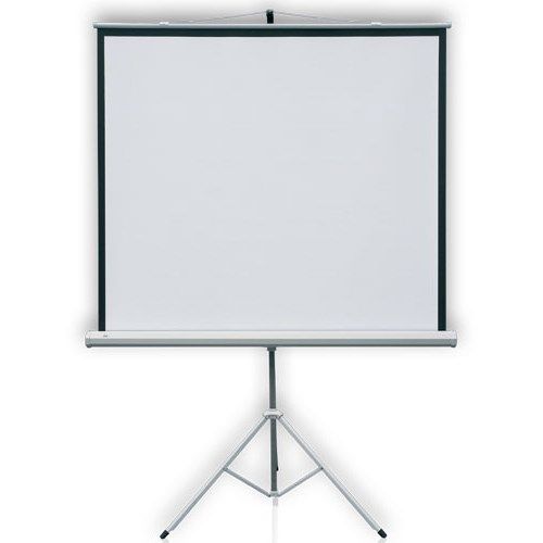 Projection screen - small, foldable